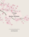 FREE 7 DAYS TO A BETTER MINDSET GUIDE